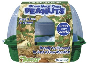 Grow Your Own Peanuts