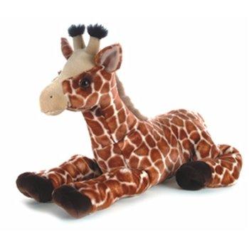 Guy - Giraffe