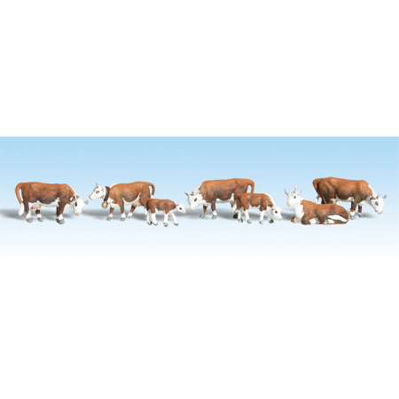 HO Hereford Cows