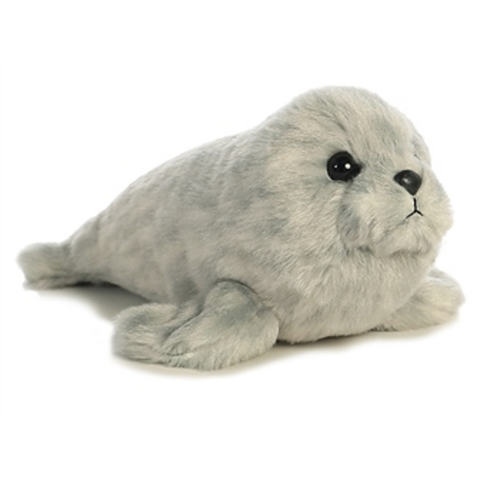 Harbor Seal