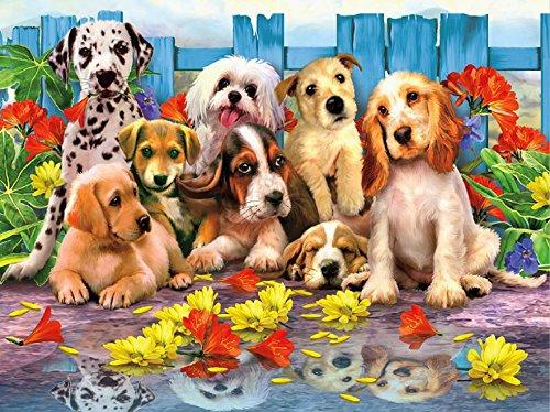 Harmony Who Dunnit 550Pc Puzzle