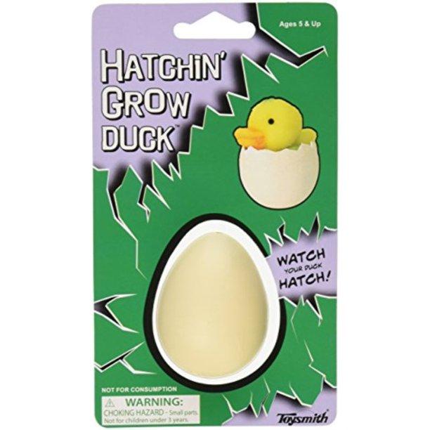 Hatchin' Grow Duck
