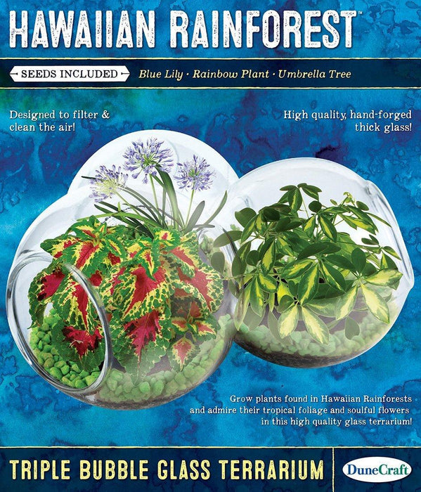 Hawaiian Rainforest Triple Bubble Glass Terrarium