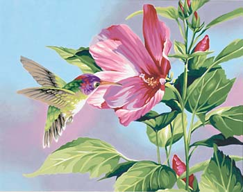 Hibiscus Hummingbird Paint By Numbers 14"x11"