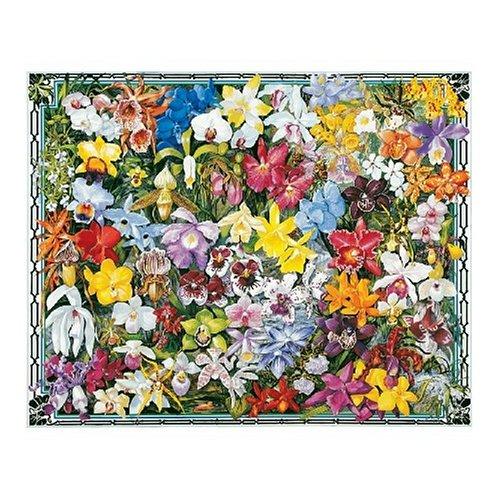 Hot Air Balloon Collage Puzzle 1000 pc