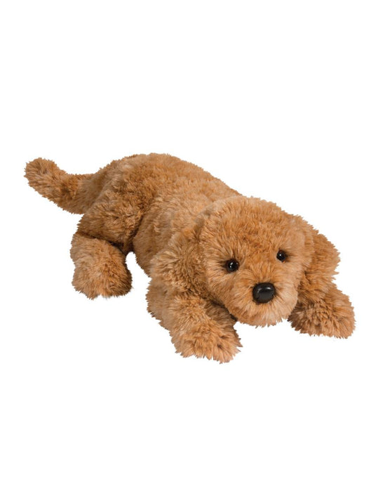 Hudson Carmel Labradoodle