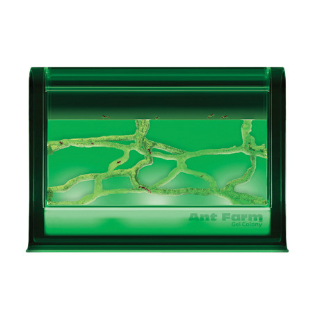 Illuminated Ant Farm Gel Colny