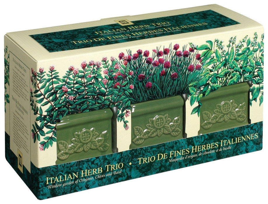 Italian Herb Trio Garden