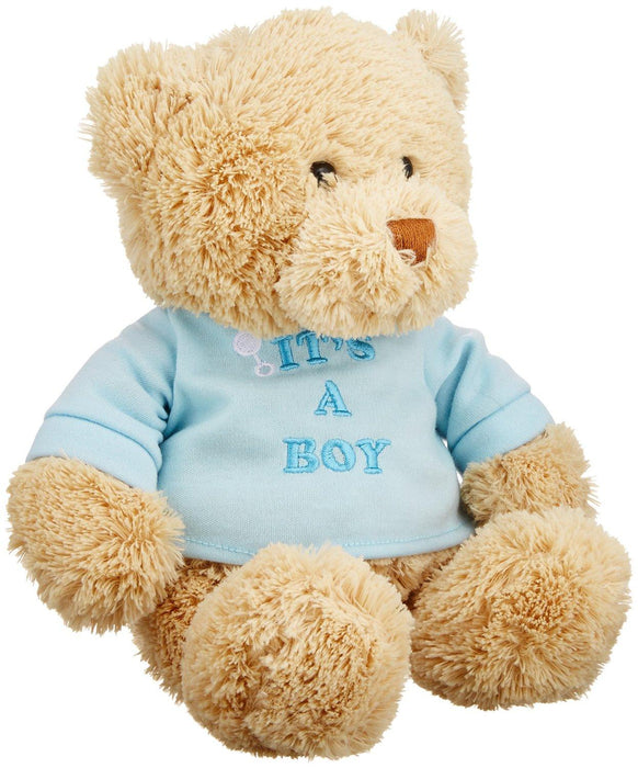 It's A Boy- 12" Bear