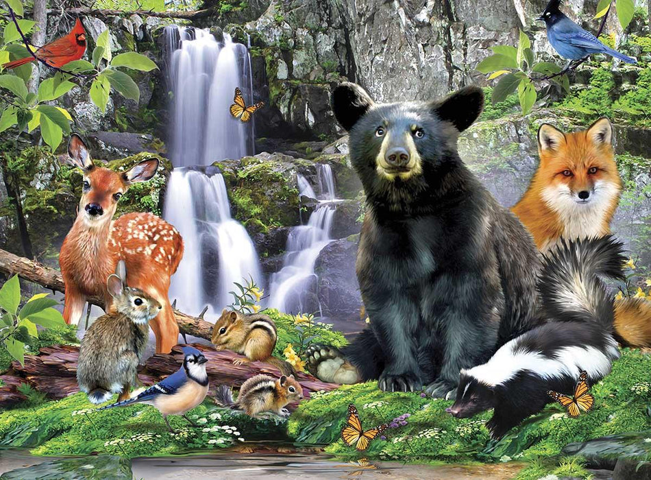 Jr Ranger - Shenandoah Park 100pc Puzzle
