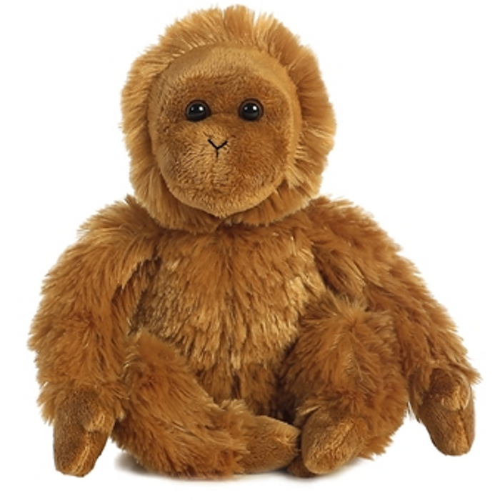Jupiter - Orangutan