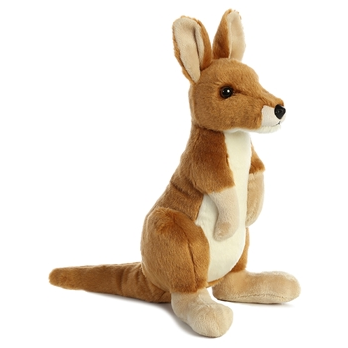 Kangaroo