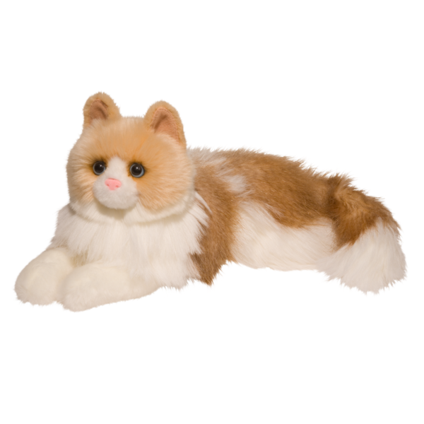 Kiki the Ragdoll