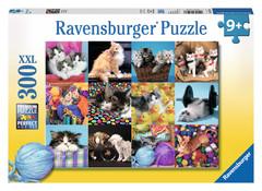 Kitten Collage Puzzle