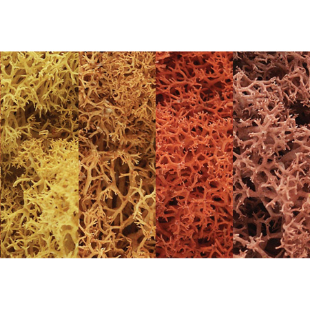 Lichen Bag, Autumn Mix/82 cu.