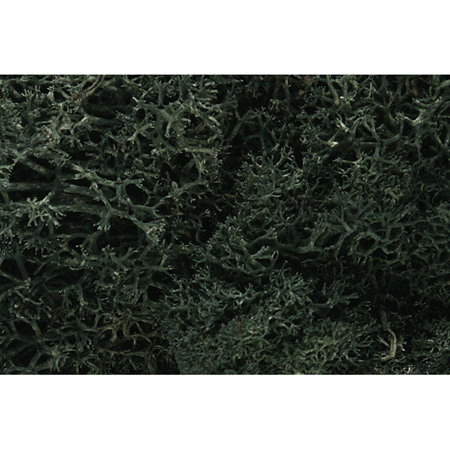 Lichen Bag, Dark Green/82 cu.