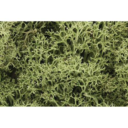 Lichen Bag, Spring Green/82 cu