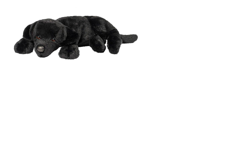 Licorice – Black Lab Dog