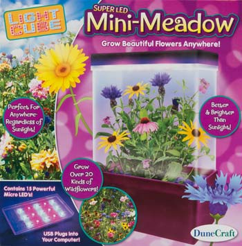 Light Cube Mini-Meadow