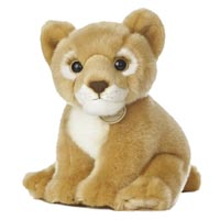 Lion Cub