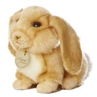 Lop Eared Rabbit