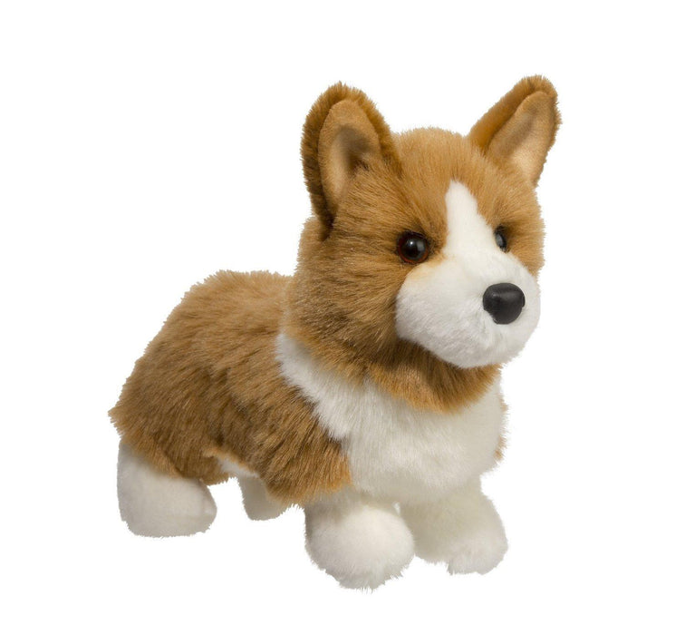 Louie – the Corgi Dog
