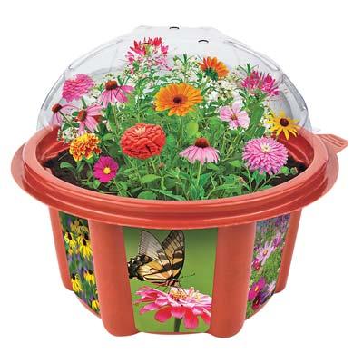 MD-0059 Heirlooms Flowers Garden Kit