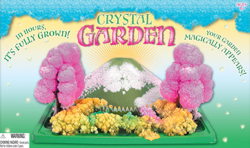 Magic Growing Crystal Garden