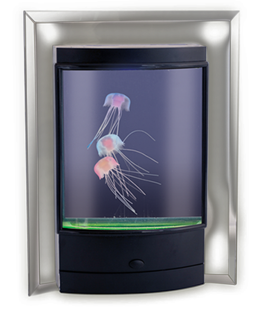 Magic Jellyfish LED Lamp with 110v Adapter — Adventure Hobbies & Toys