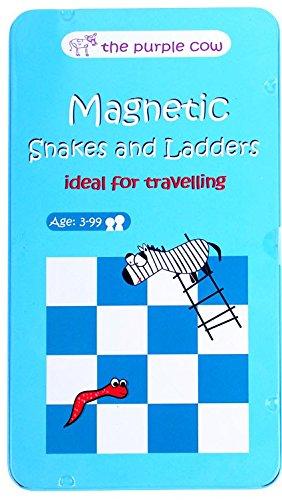 Magnetic Snakes and Ladders Game