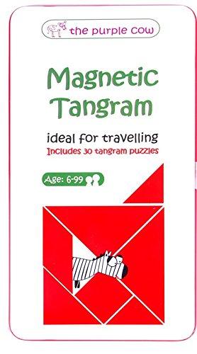 Magnetic Tangram Game