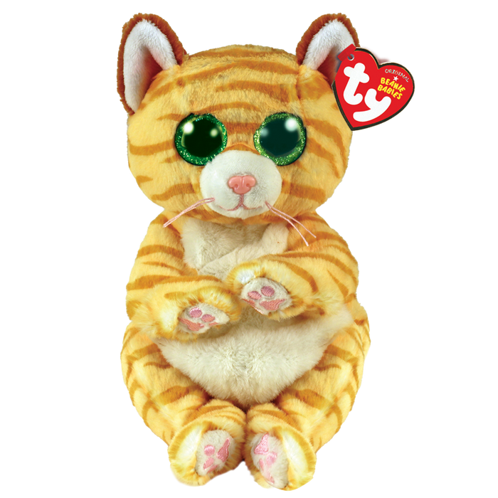 Mango Orange Tabby Cat Regular