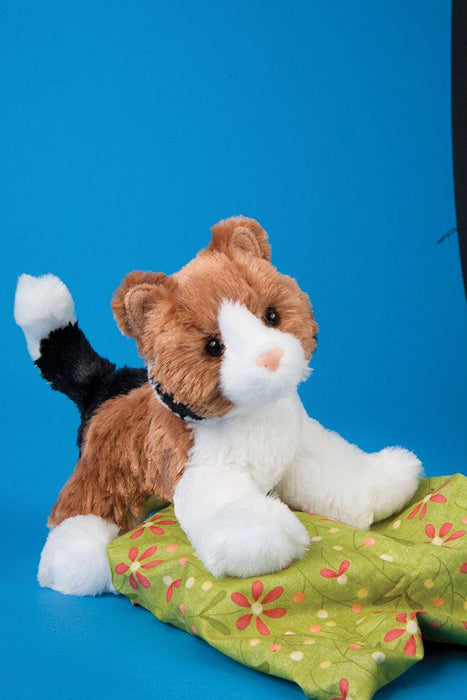 Maps Calico Cat