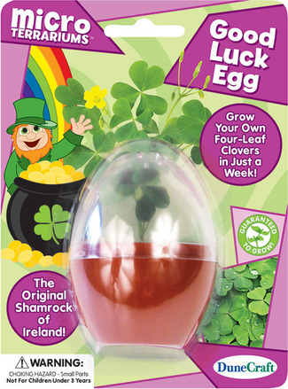 Micro Terraium Good Luck Egg