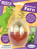 Micro Terraium Prehistoric Fern