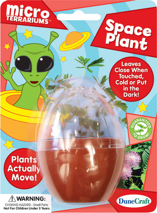 Micro Terraium Space Plant