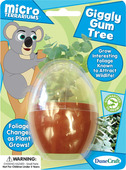 Micro Terrarium Giggly Gum Tree
