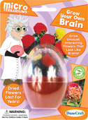 Micro Terrarium Grow Your Own Brains
