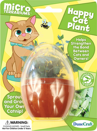 Micro Terrarium Happy Cat Plant