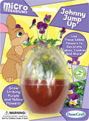 Micro Terrarium Johnny Jump Up
