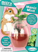 Micro Terrarium Manic Mint