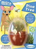 Micro Terrarium Pine Tree
