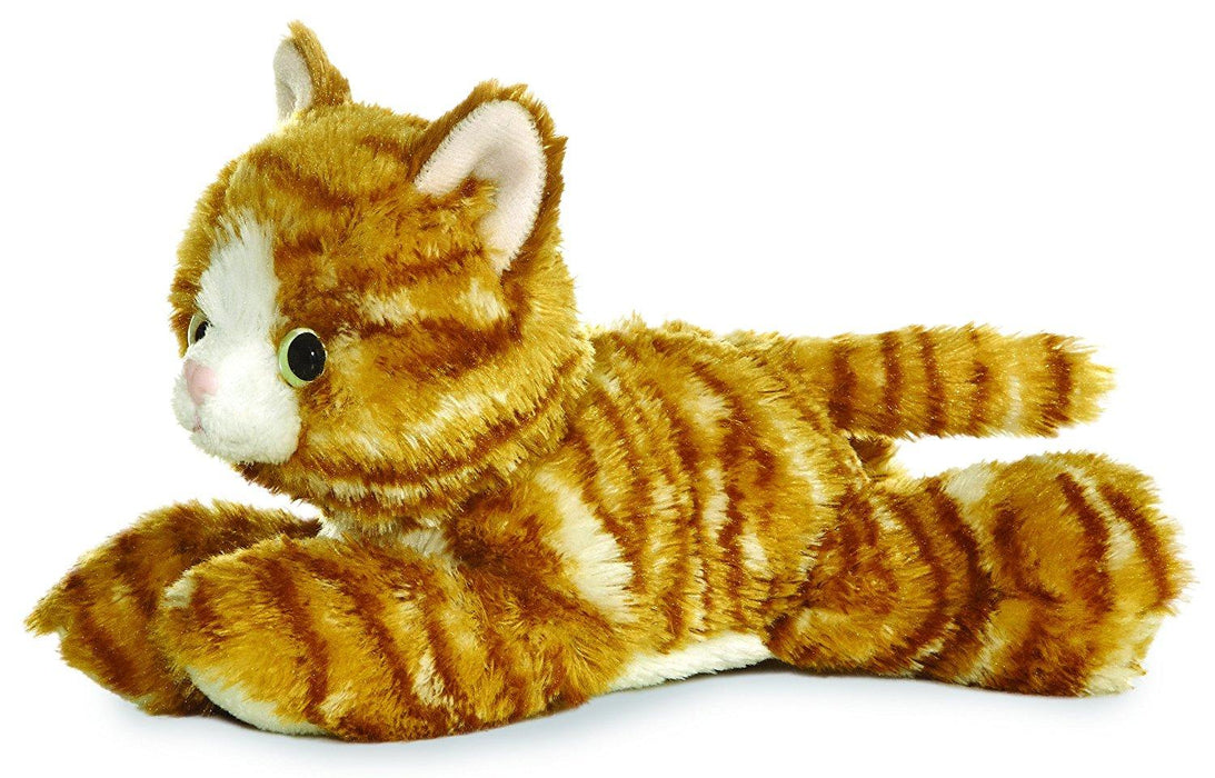 Molly the Orange Cat