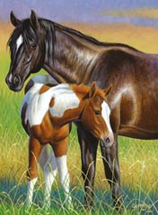 Momma & Colt, 100 pc