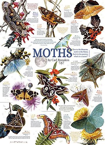 Moth Collection 1000pc puzzle