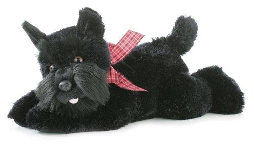 Mr. Nick the Black Dog