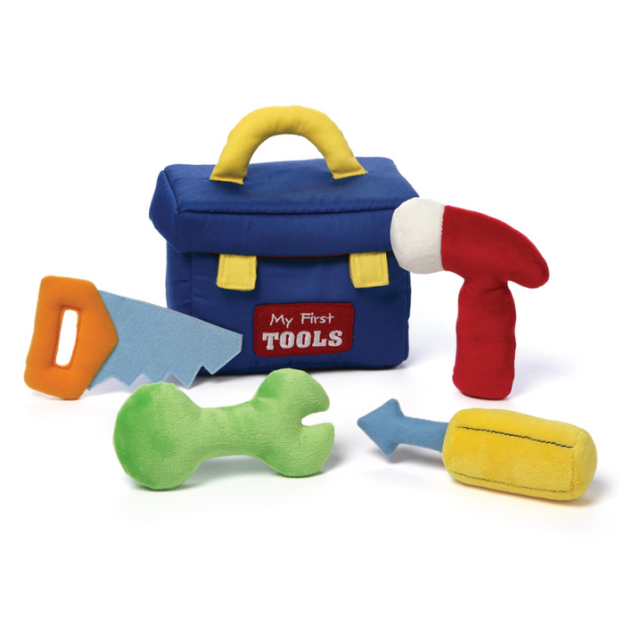 My 1st Toolbox Playset