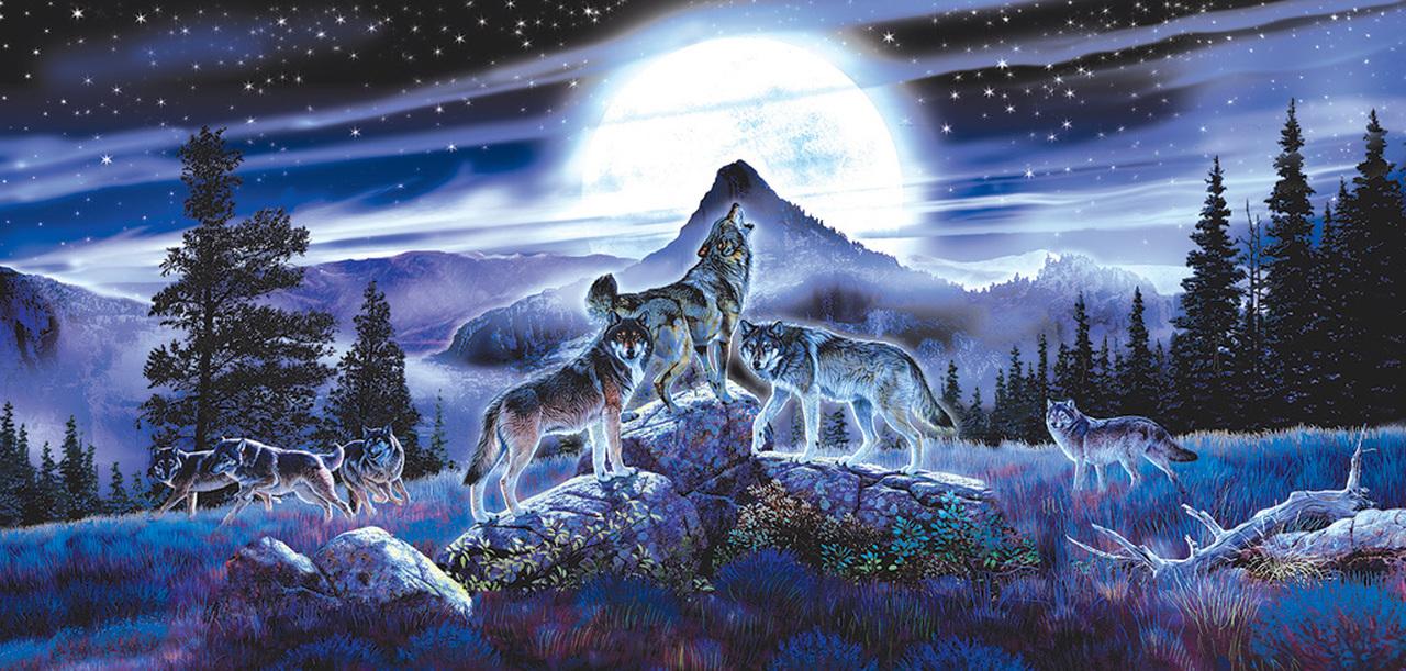 Night Wolves 1000pc Puzzle