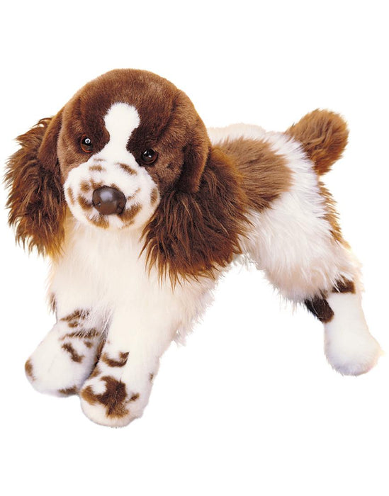 Ogilvy Springer Spaniel Dog