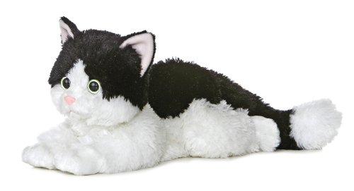 Oreo the Cat